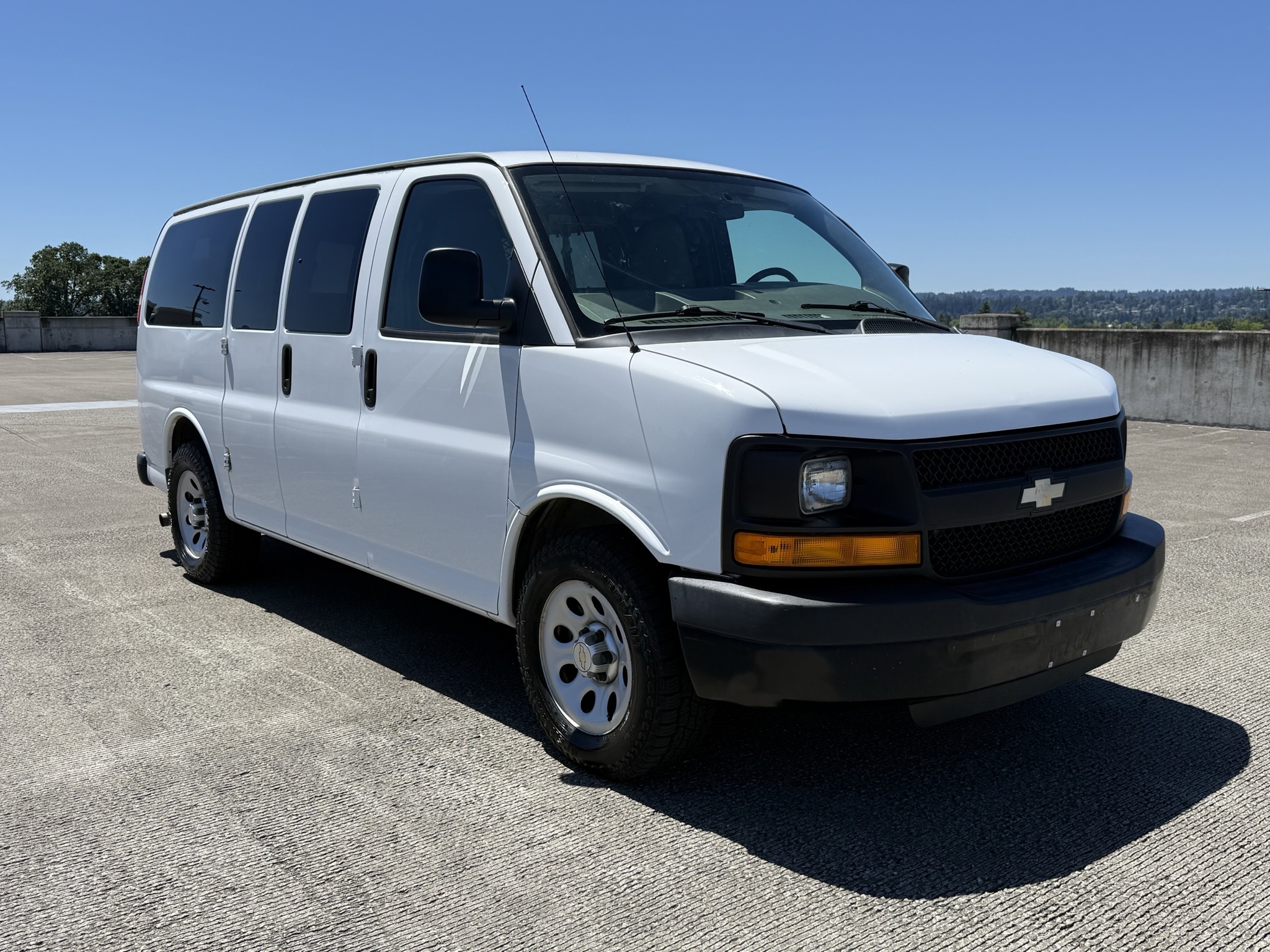 
								2014 Chevrolet Express 1500 Passenger LS AWD full									